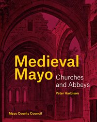 front cover image of medieval mayo book
