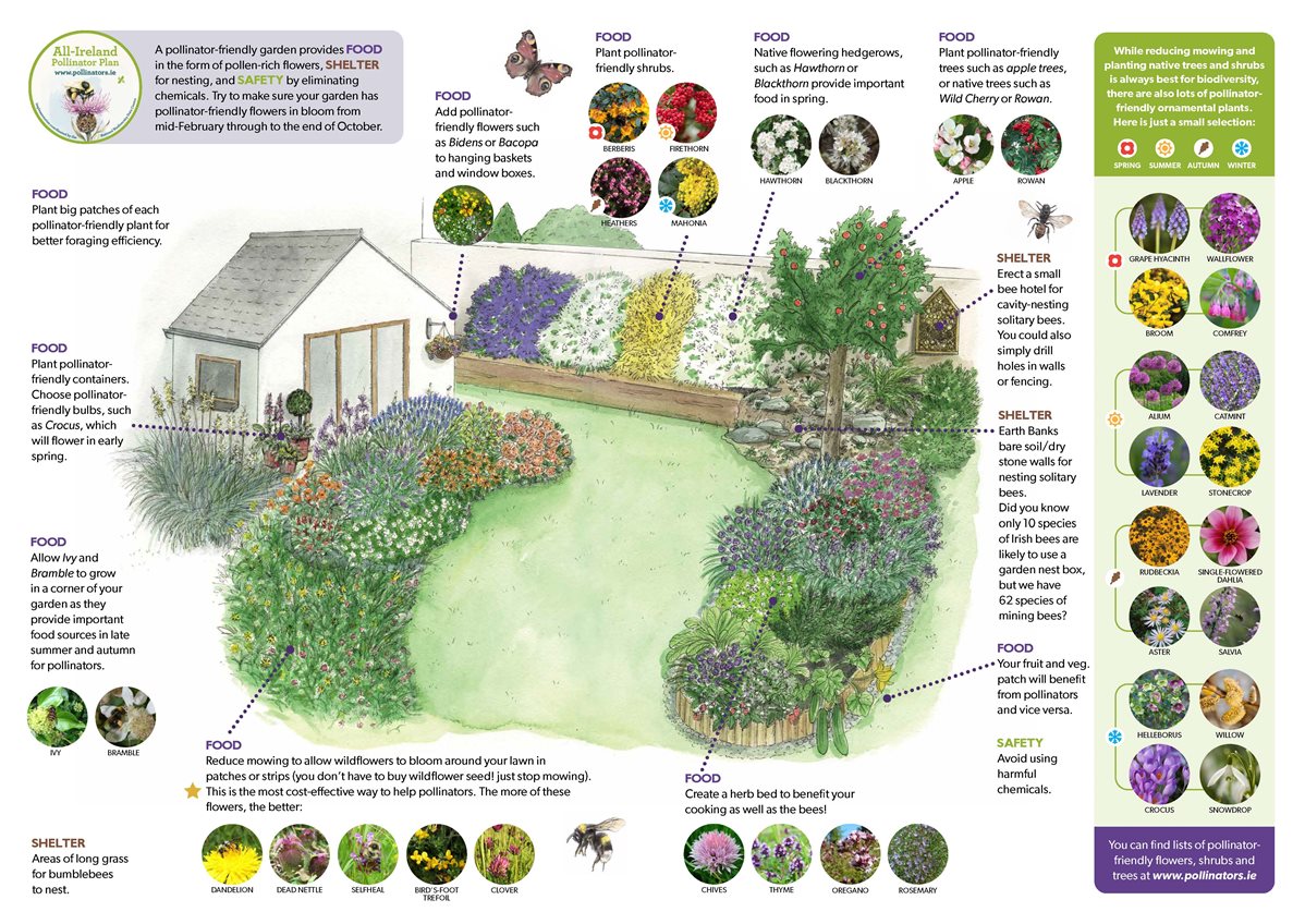 Image showing different ways to pollinate your garden